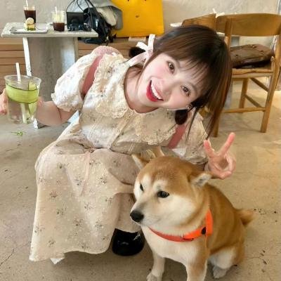 天线宝宝